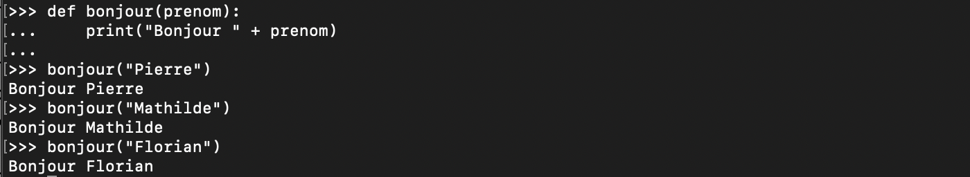 Définition de paramètres et passage d’arguments aux fonctions Python