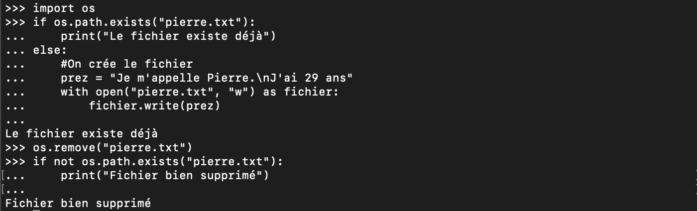 Supprimer un fichier Python avec remove