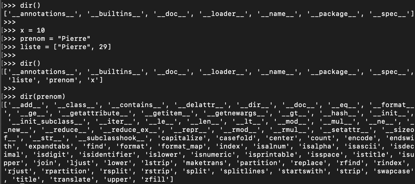 Fonction Python dir 