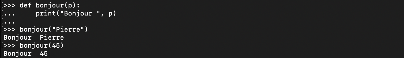 Passage d’arguments à la fonction Python print